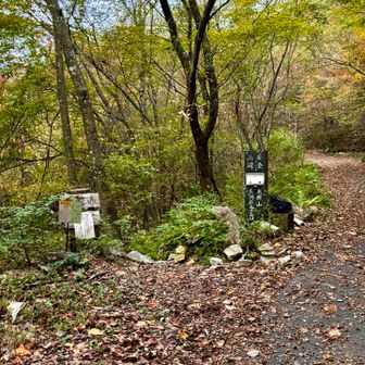 ようやく登山口に到着