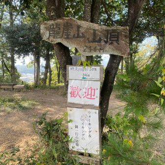 龍崖山を愛する80人衆というネーミングも良かった
