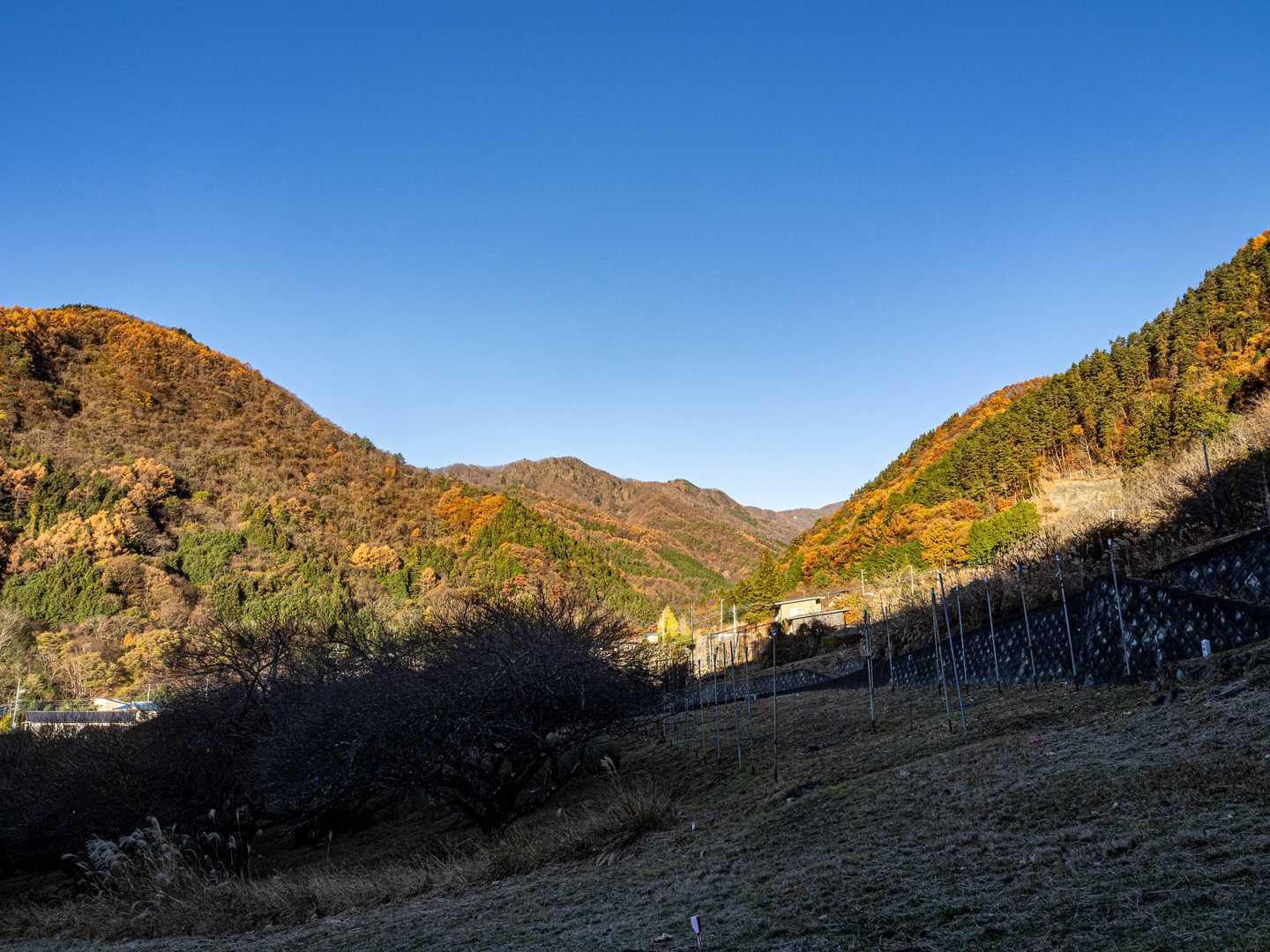 紅葉は終盤🍁