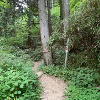 もみじ谷入山ポイントまで戻って来ました。