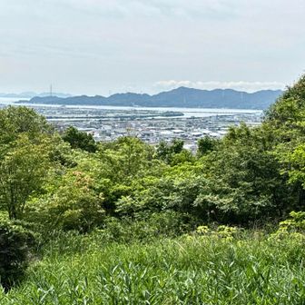 東屋からの眺め