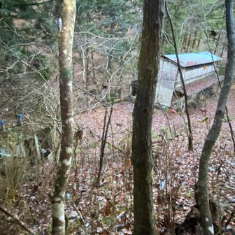 廃墟あり。
左の枝に隠れたトイレは使えません。