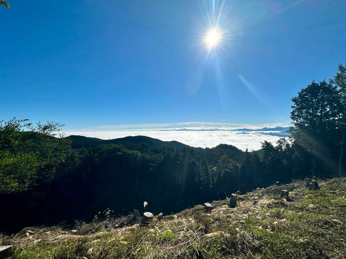 大将陣山 往復コースの写真