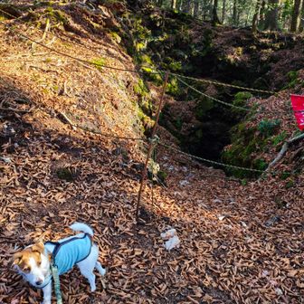 こちらも入れないよ。