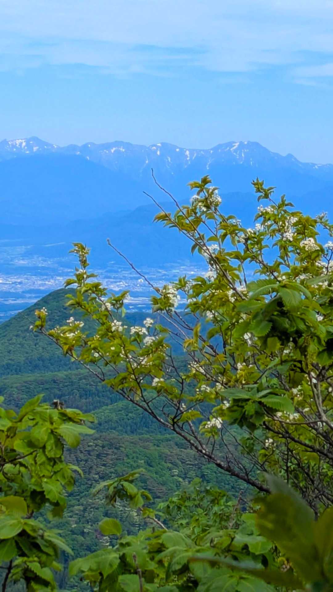 からの谷川岳、右の尖ったのは武能岳かな、、左は主脈の万太郎山