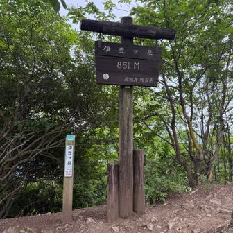 伊豆ヶ岳山頂