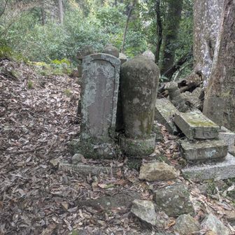 施福寺近くで見つけました。
「懽大僧都大阿闇梨法印孝賢大和尚位」と書かれていて、金剛山などとも関連がある文化財のようです。