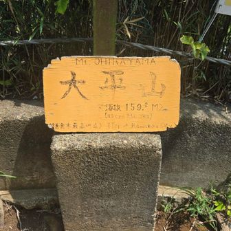 大平山
