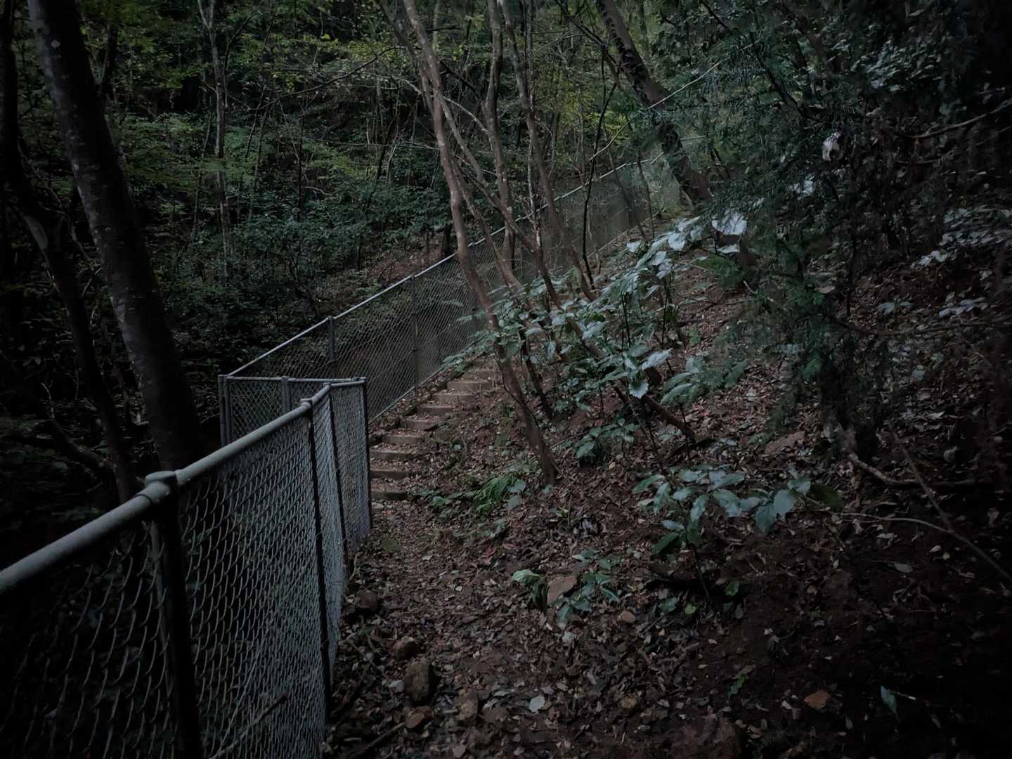 九千部山-五ヶ山 周回コースの写真