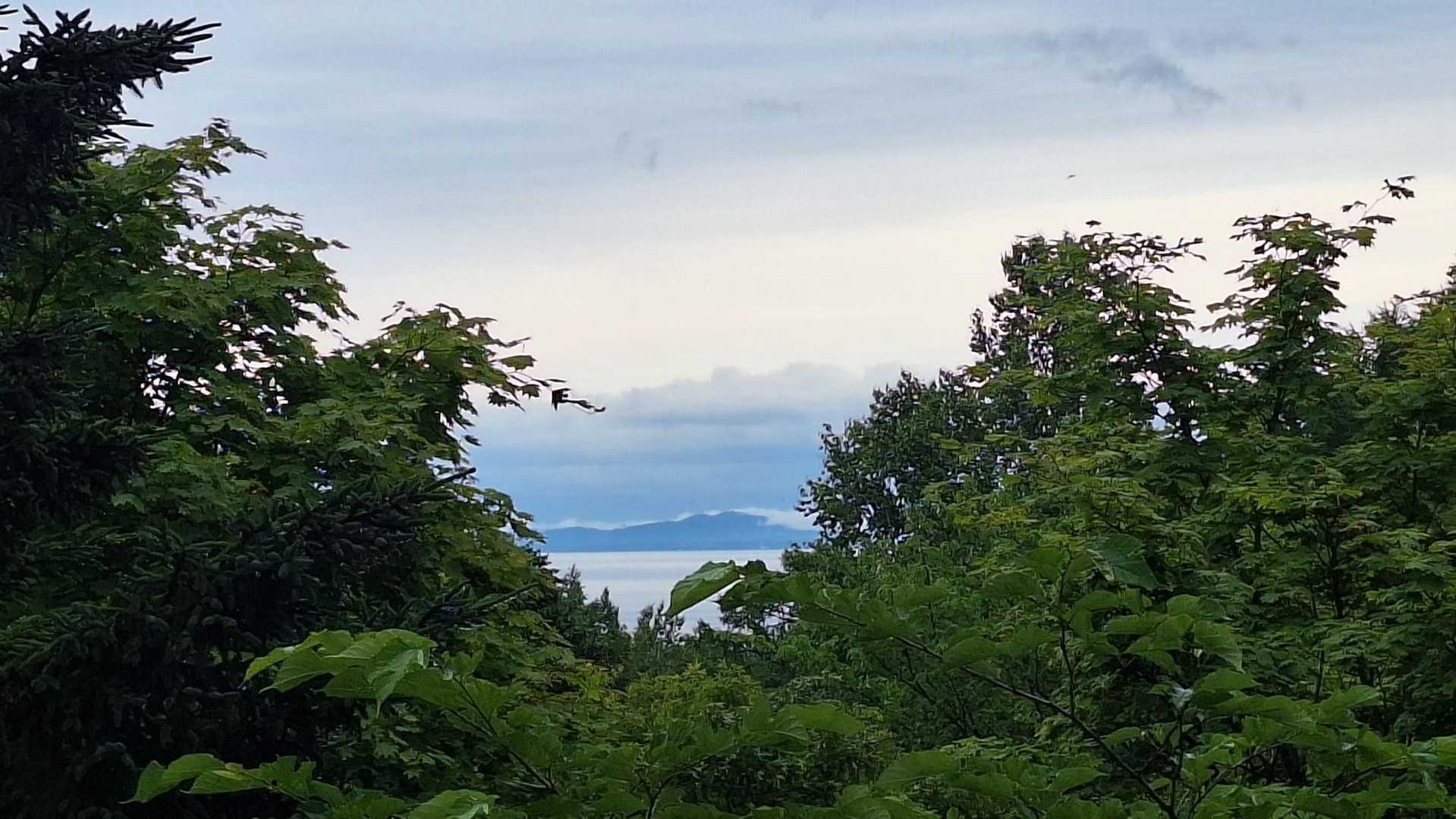 旭山 往復コースの写真