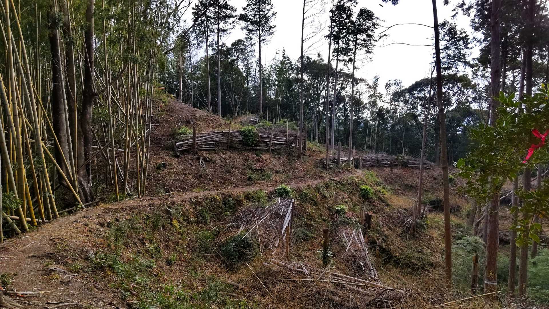 いつもの見晴らしいい場所に来ました🎵
ほとんど登山道綺麗です🎵