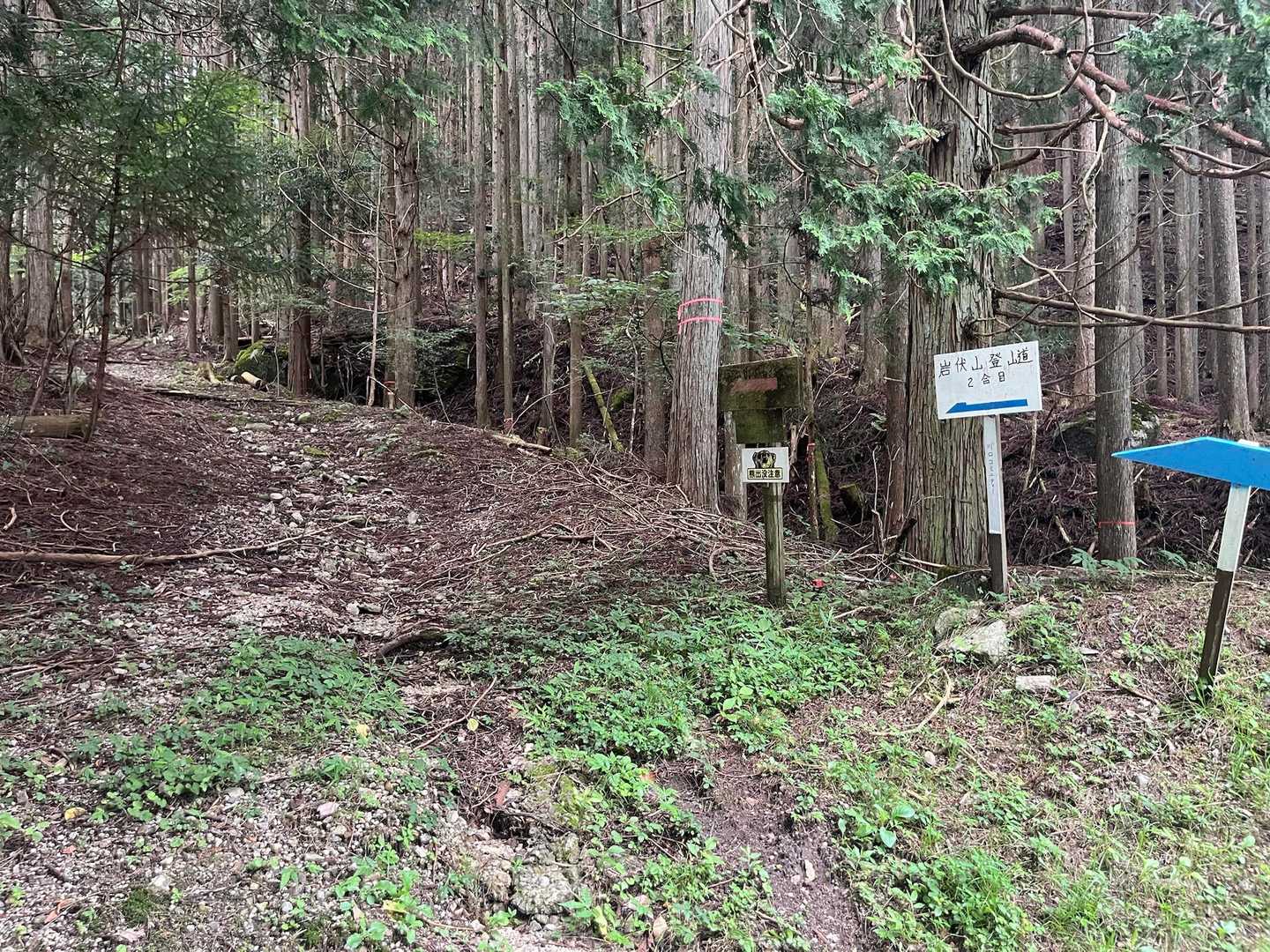 登山道スタート▶️