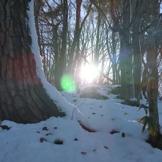 もうちょい！
キラキラしてていい！