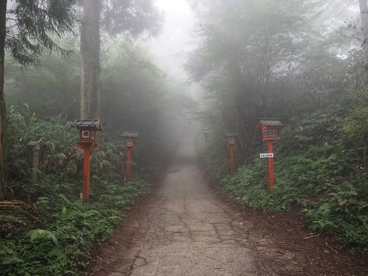 ガスも幻想的