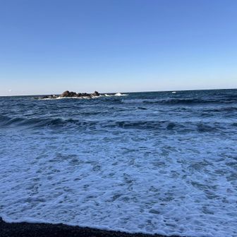 本日波は荒め🌊