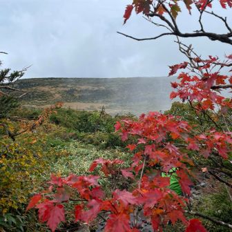 紅葉の奥に芝草平が見える