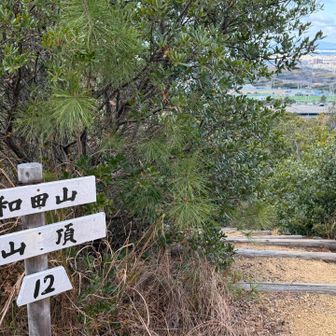 和田山山頂🔺171m

雨山より低いし、グレーピークなので ナメてたら😅 山頂までほぼ階段でした。
しかも段差が大きくて結構 脚に来ます😓