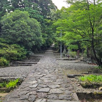 スタート