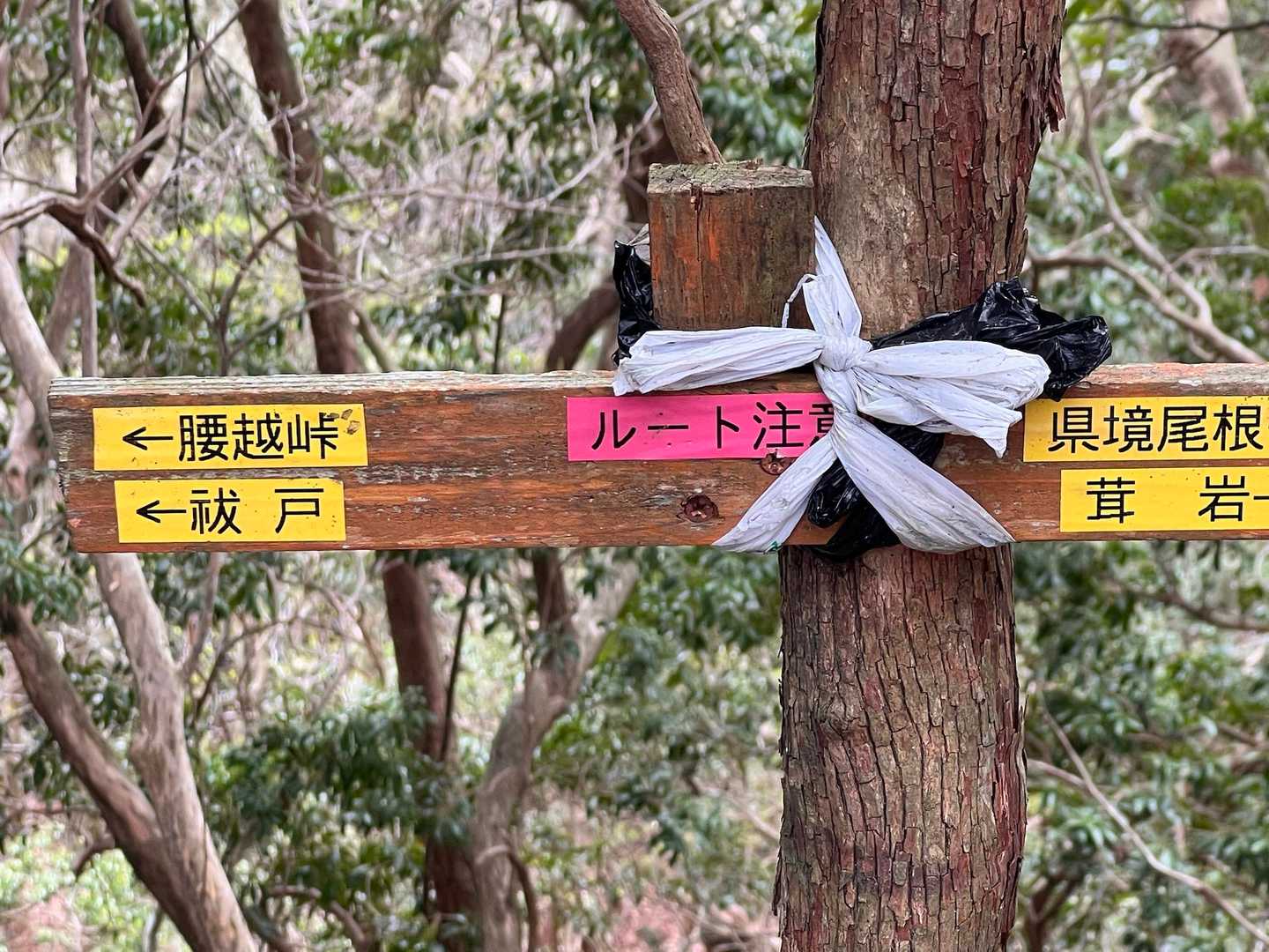 ハライドって漢字で「祓戸」なのね🤔