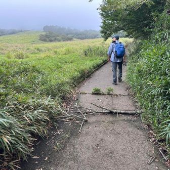 この登山口の近くに車を3、4台置けるところがあります。