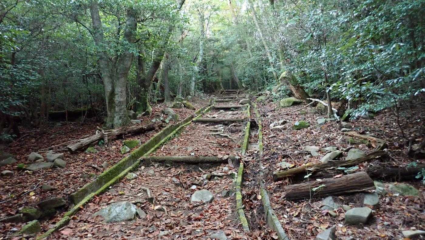 少し荒れている。