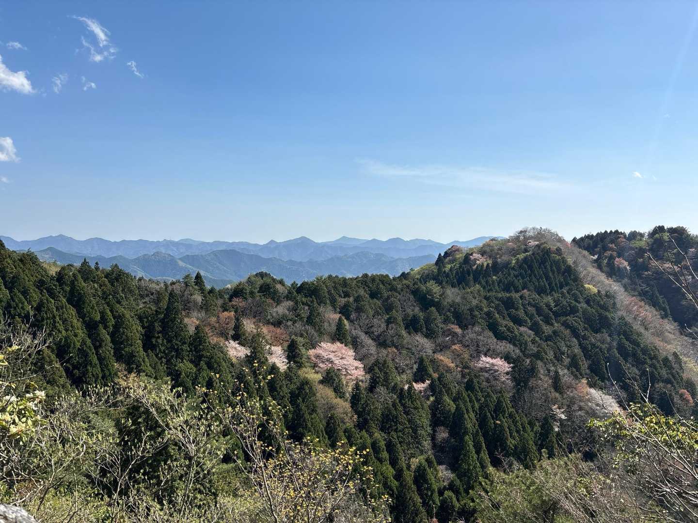 観音堂登山口-五の山-清水山-剣爾山-鳳翔寺登山口 縦走コースの写真