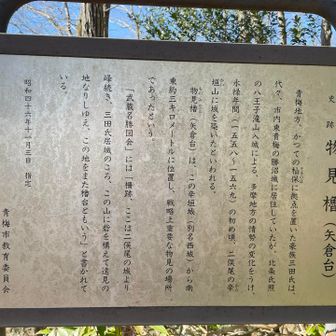 先週に引き続き、矢倉という地名は戦国時代にゆかりがあるのが多いですね