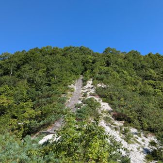 いきなり70mの木道階段です！
登り初めてばかりなのに段差は結構足にきました。