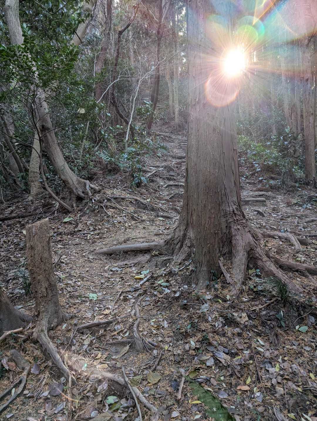 さ！帰ろう😊
今年1年、おつかれ山でした⛰️