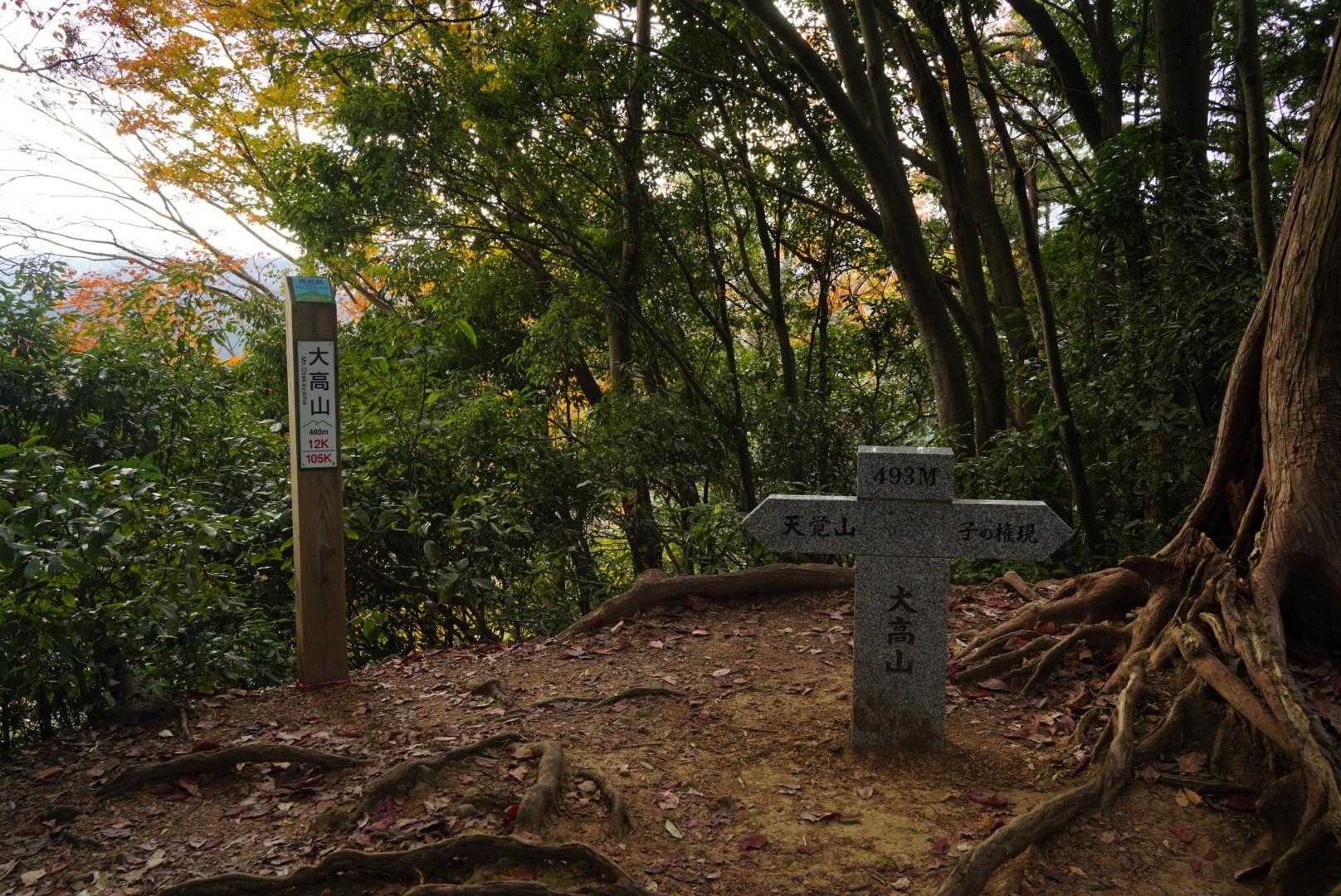 吾野駅-大高山-吾野ノ頭-天覚山-東峠-かまど山-武蔵横手 縦走コースの写真