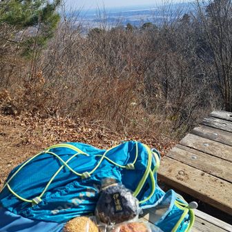 道の駅霊山で買った、伊達鳥のおにぎり(250円)とパン
このおにぎりの具は伊達鳥のそぼろ味噌に、刻みゆず、大葉、ネギが入っていて、お値段以上の満足感！何だこれ、うまっ🤤(味想像してみて)
この後、行けるところまで縦走すると決める✌