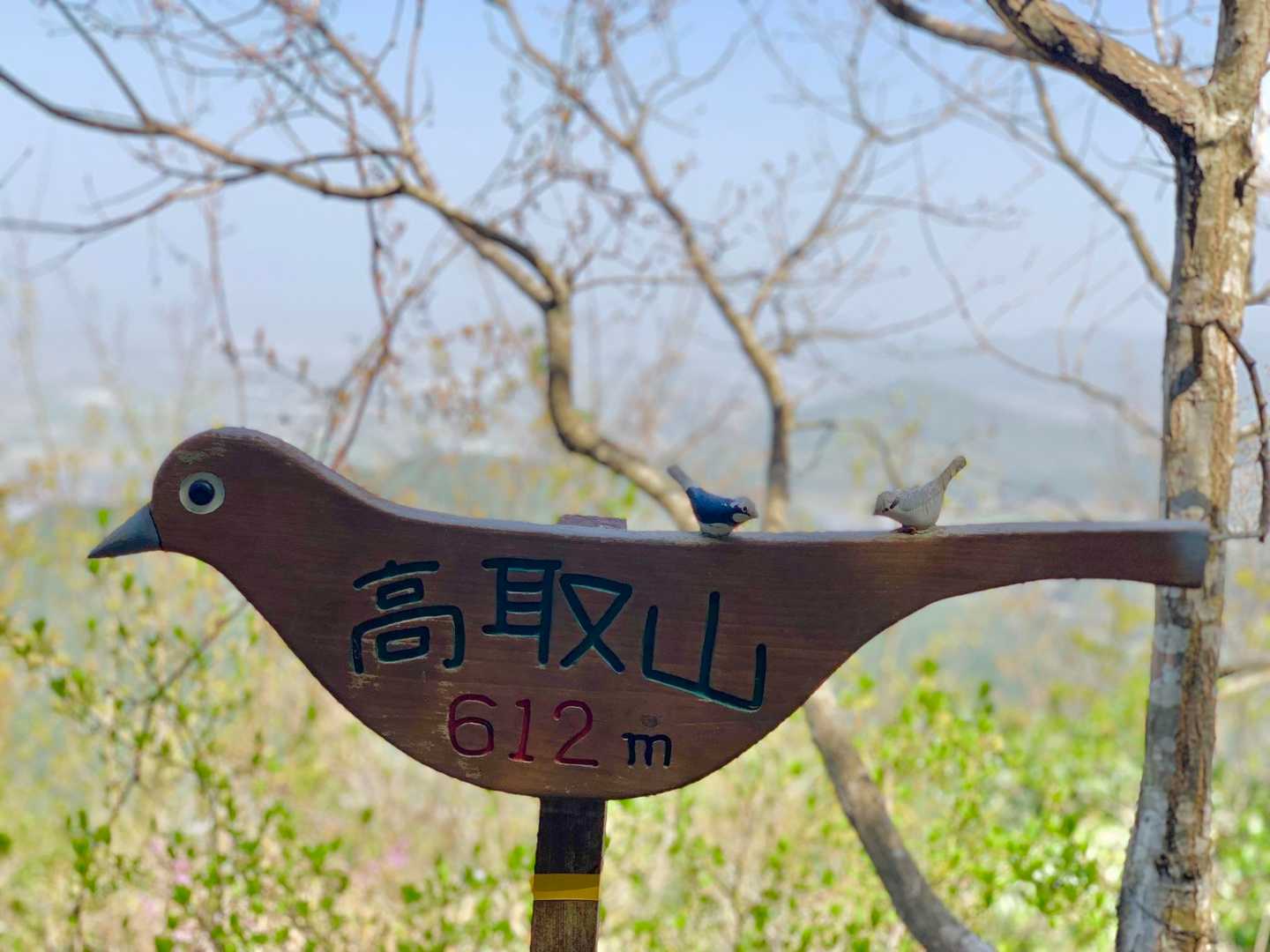 高取山到着🙌
ピークは展望ないけどかわいい看板