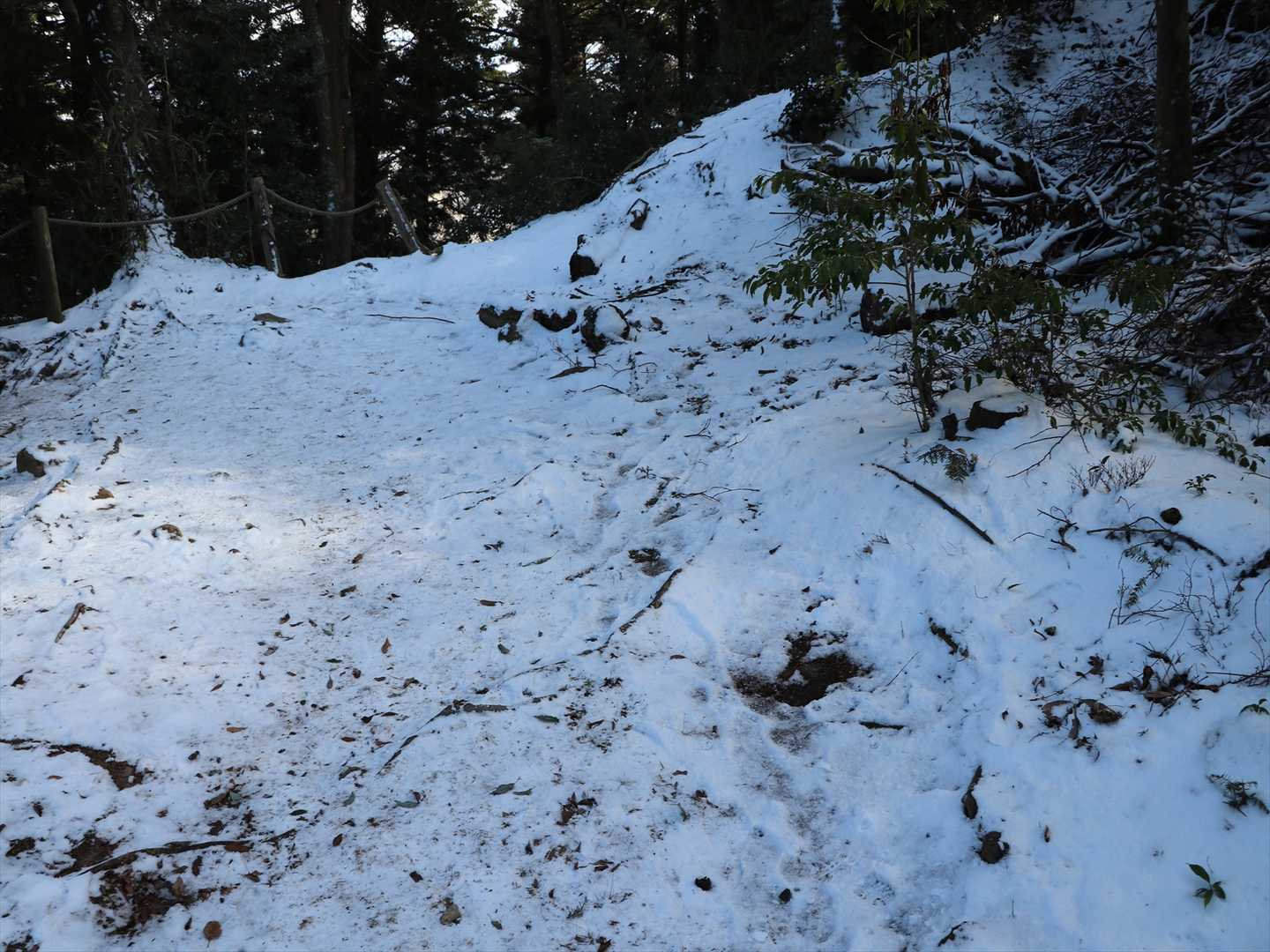 羽束山 周回コースの写真