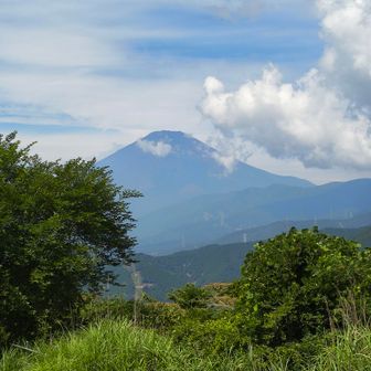 山頂からも富士山が良く見えました。