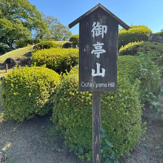 4座目はこちら