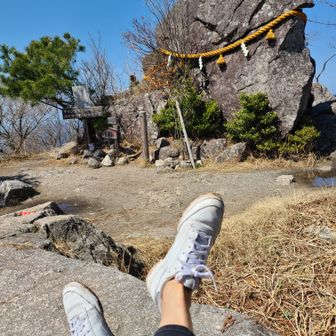 バンブルビー☆🐝