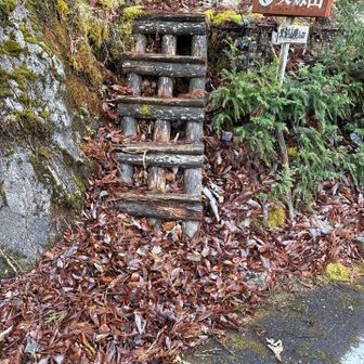 登山口に戻りました