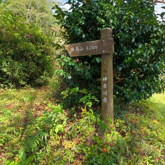 登山口