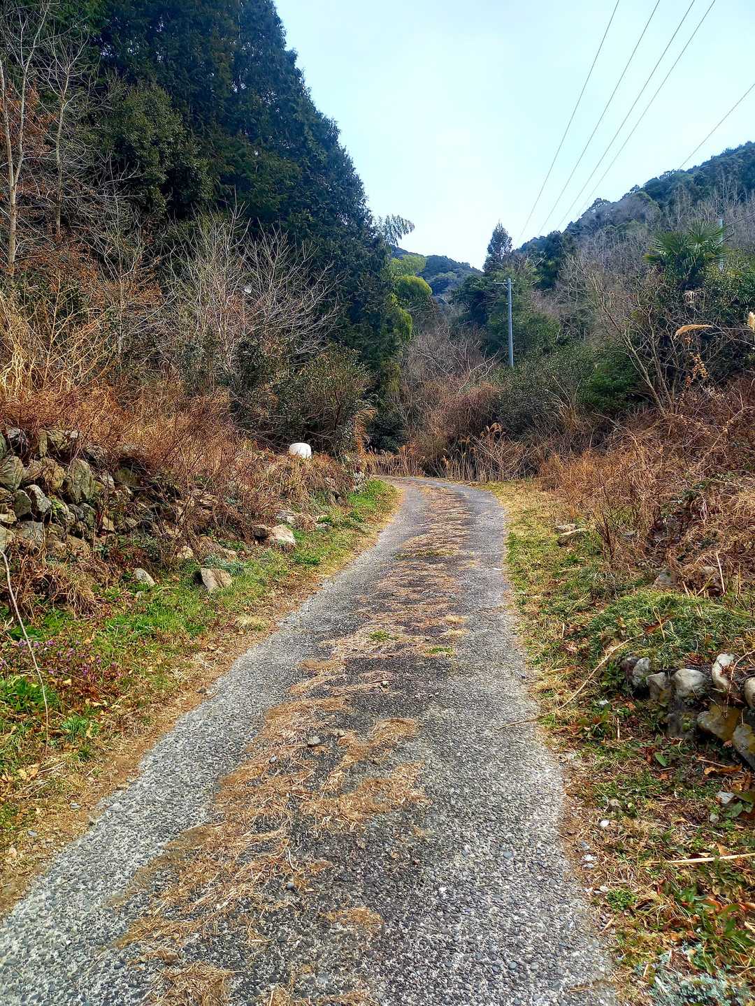 農道を上っていきます