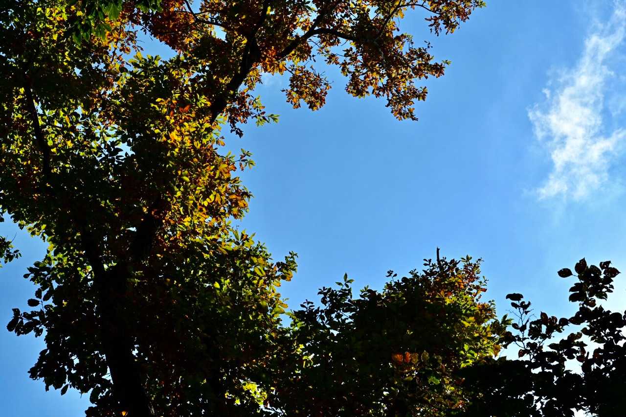 青空見上げひと息つく