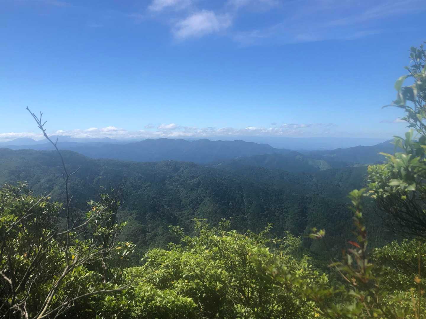 山頂付近からの景色