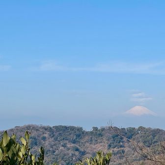 富士山が見えました
