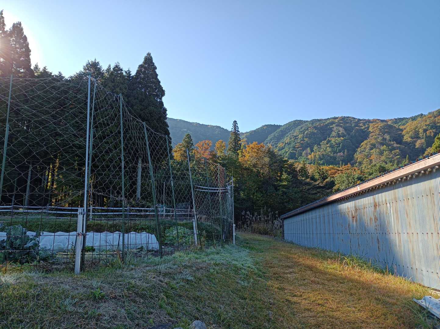 真ん中のあぜ道のところを上がっていきます。