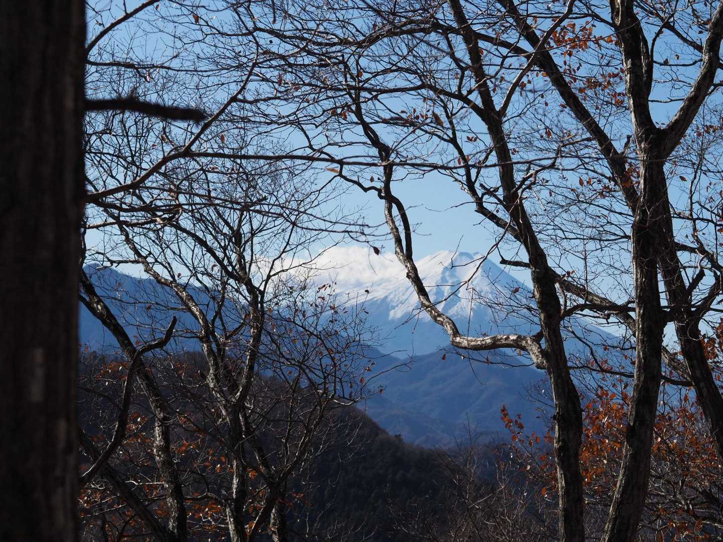 大月駅-菊花山-厄王山 周回コースの写真