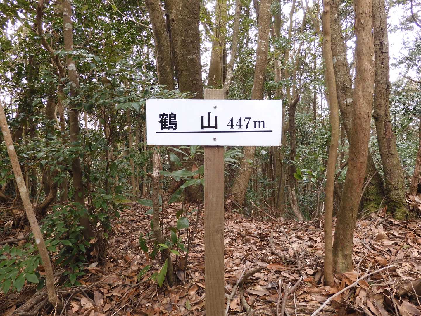鶴山（つるやま 447ｍ）山頂 
※眺望無し