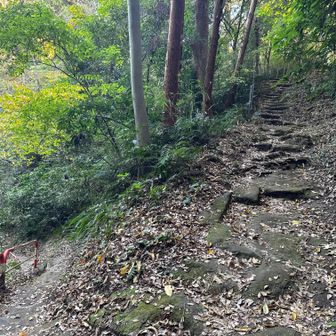 右が現場。よく擦過傷で済んだものだ(多分折れてはいない)