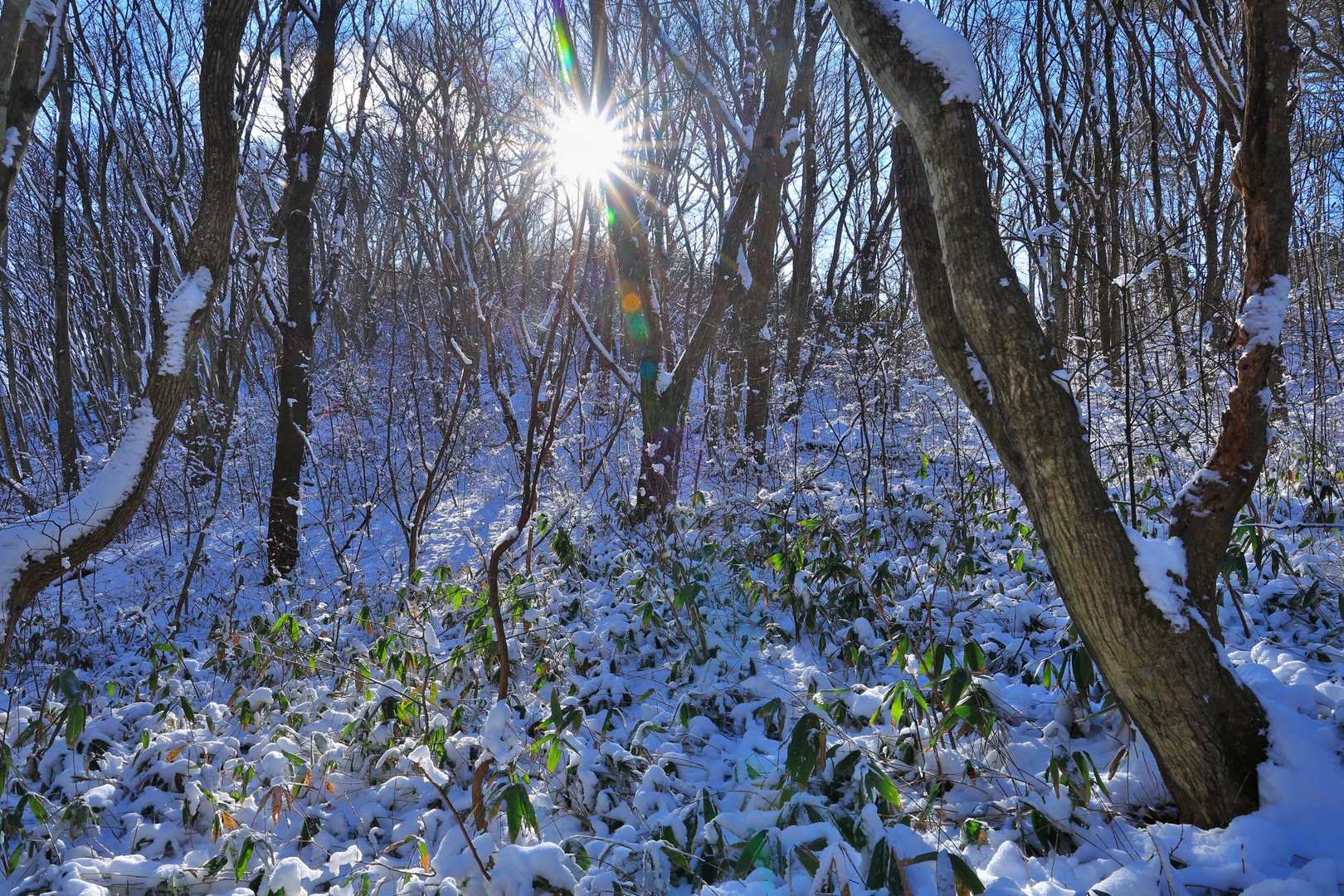 ⛄