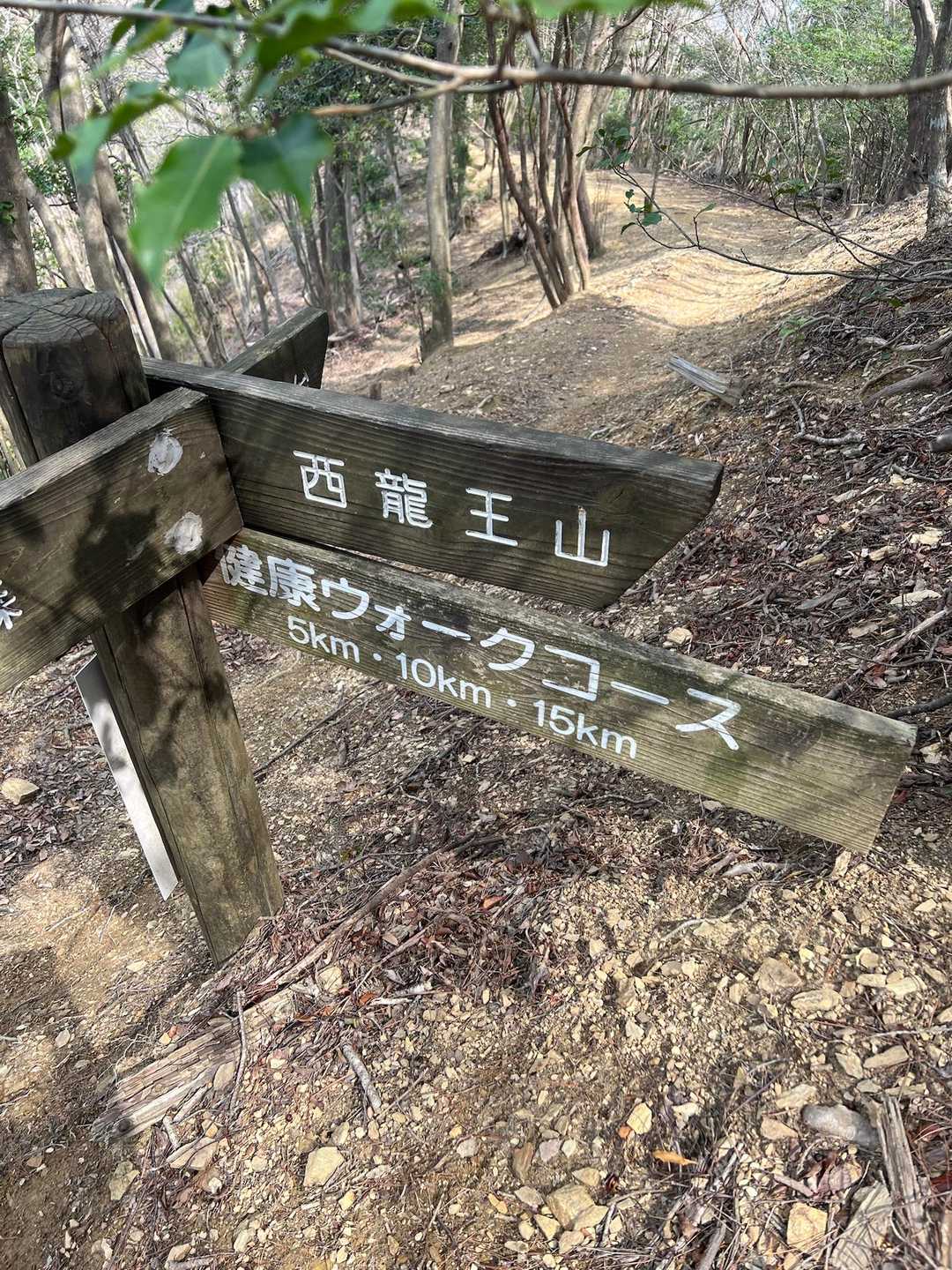西から攻めるそうです
はーい🙋‍♀️付いて行きまーす♪