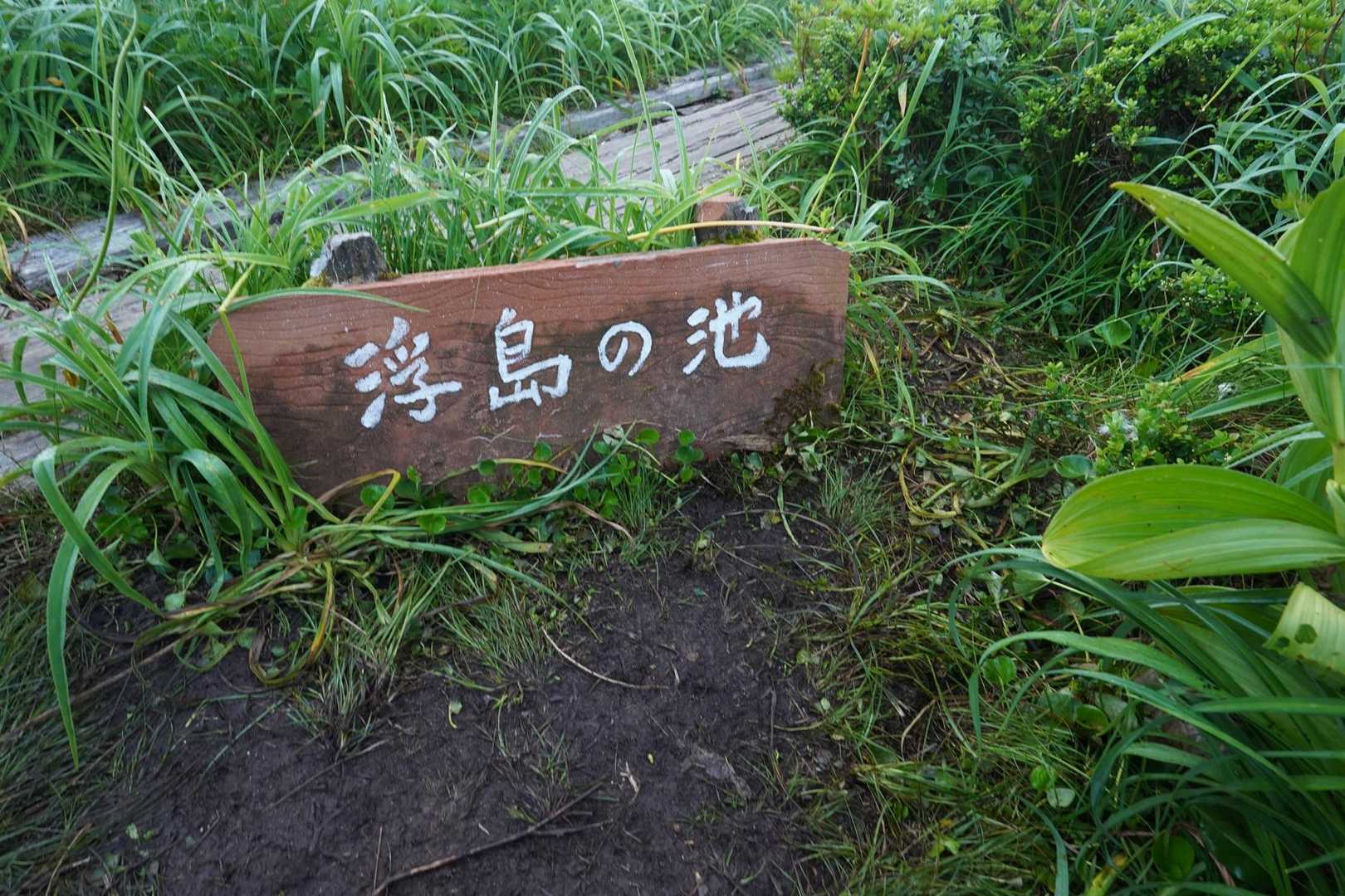 例の場所ちゃく
誰もいないのだが、なぜ？