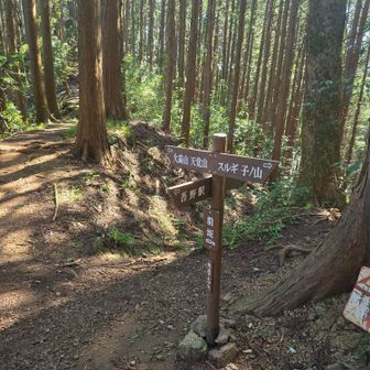 前坂通過　これを見て何気にほっとして　あとは下るだけ